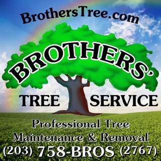 Brothers' Tree Service