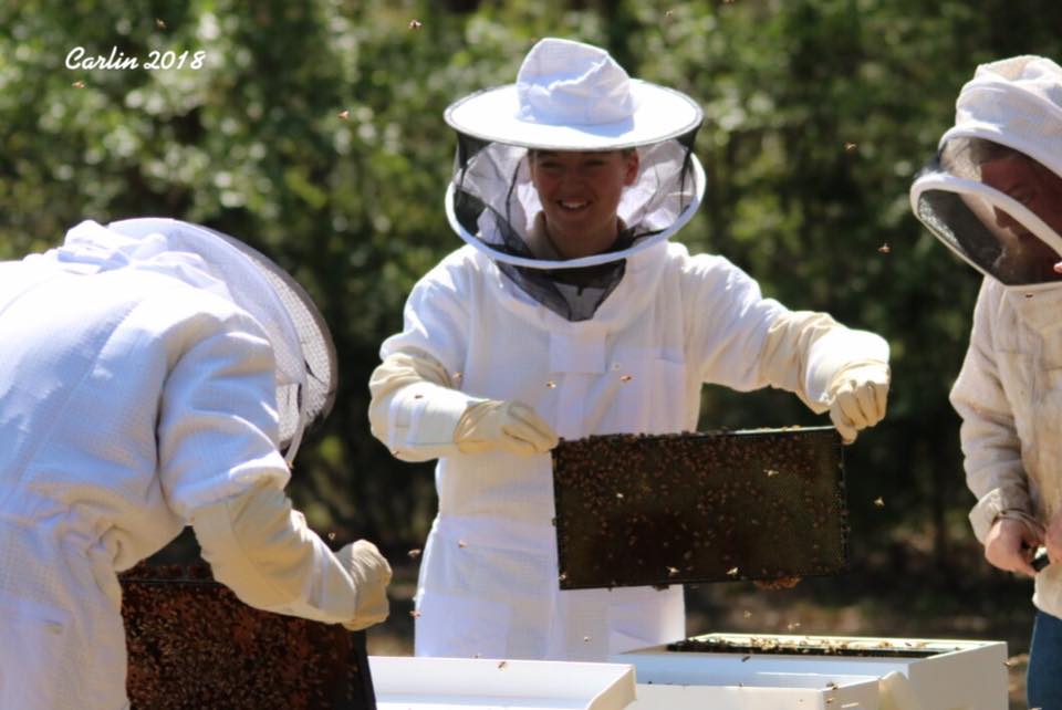 Ranger with Bees