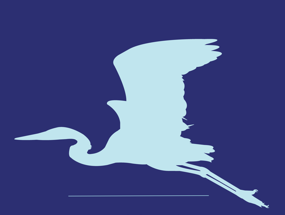 Save Lake Weir Logo