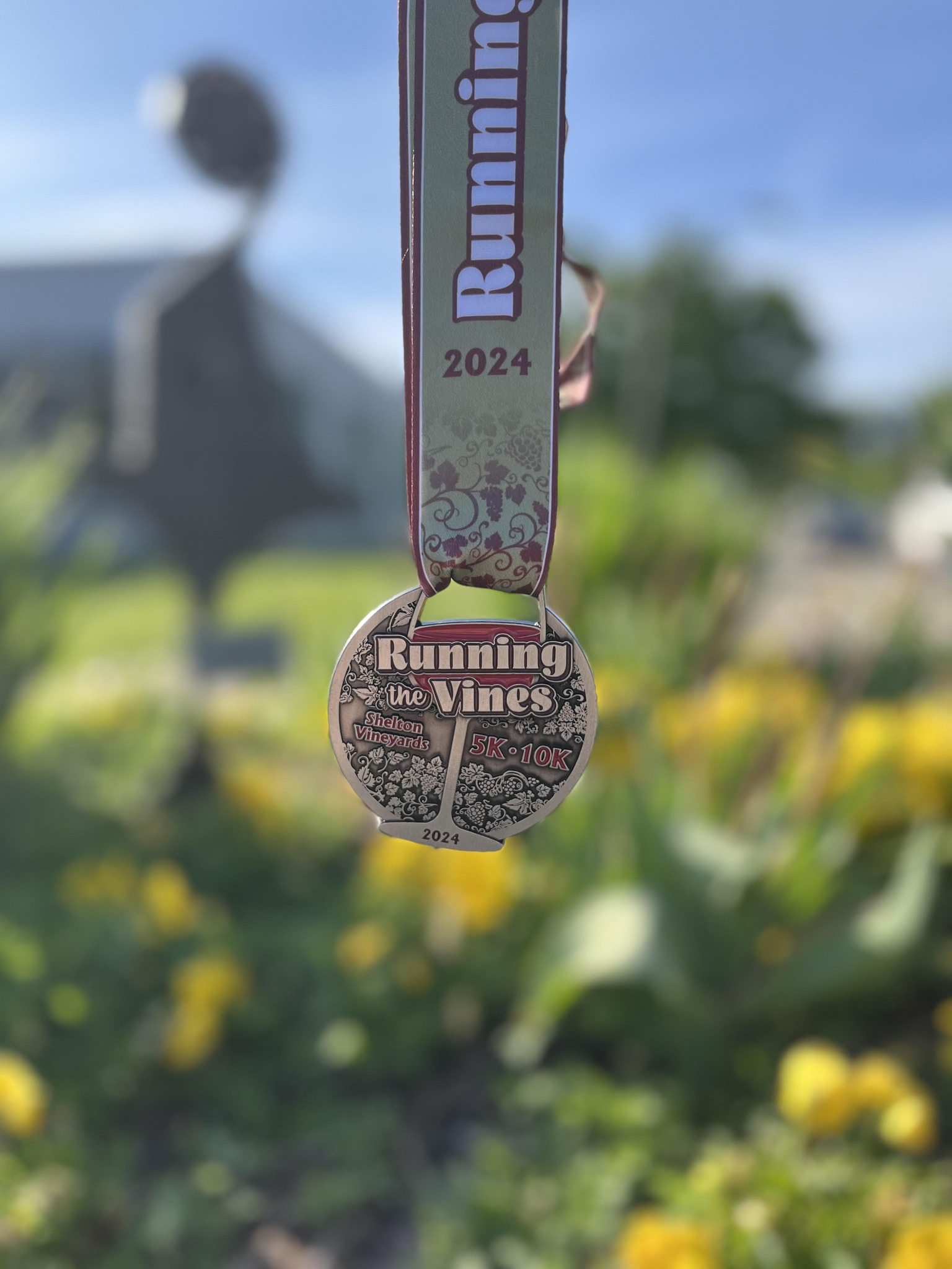 RTV 2024 Medal