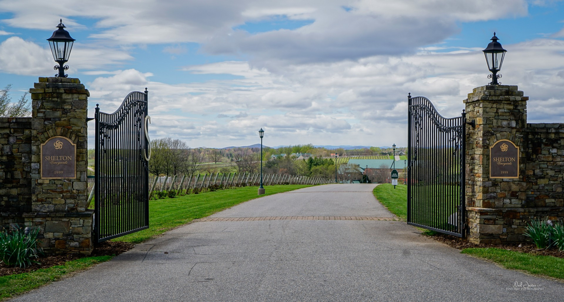 Shelton Vineyards