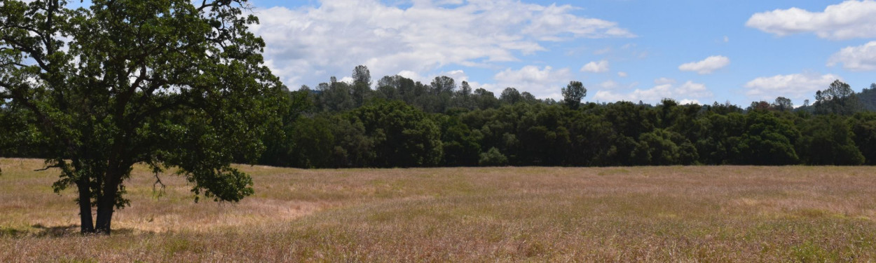 Panorama View of Wildcat Ranch