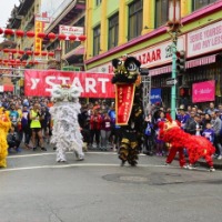 ymca chinese new year run 2025 results